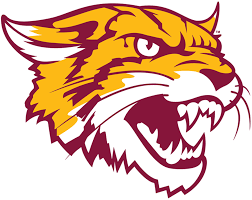 Bethune Cookman Wildcats Alternate Logo 2016 Wild Cats Wildcats Logo Cat Logo