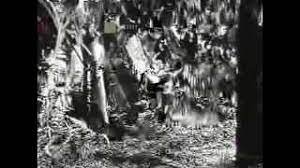 Download lagu bawang putih bawang merah mp3 gratis dalam format mp3 dan mp4. Bawang Putih Bawang Merah 1959 Full Movie Captionsmaker Subtitles Editor For Youtube