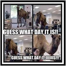 Mike mike mike.mike what day is it mike? Pin On Things That Add Icing To Life