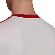 Der russische sportpolitiker dmitri swischtschjow geht noch einen schritt weiter. Adidas Russland Trikot Auswarts Em 2021 Jetzt Im Bild Shop Bestellen