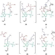 She is best known for her roles in dramas such as who are you: General Base General Acid Catalysis By Terpenoid Cyclases The Journal Of Antibiotics