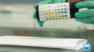 The hepatocellular carcinoma commonly will grow slowly, with correspondingly slow onset of visible signs. 5572050932001