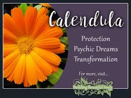 Check spelling or type a new query. Flower Meanings Birth Flowers The Language Of Flowers Floriography
