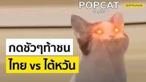 แคมเปญ แนวร่วม popcat ขอความร่วมมือร่วมใจในการกดเจ้าแมวให้ได้จำนวน 1 แสนล้านครั้ง เพื่. 1ezom5mmidamjm