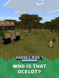 Who Is That Ocelot Learn Computer Science Supervised Machine Learning Student Activities