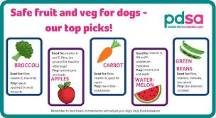 We did not find results for: Safe Fruit And Veg For Dogs Pdsa