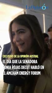 Exclusivo: el día que la senadora Sonia Rojas Decut habló en el AmCham  Energy Forum