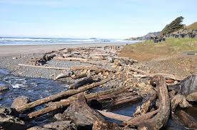 Check spelling or type a new query. Where To Find Oregon Agates Plus Tips For Finding Them Oregon Beaches Oregon Camping Oregon Road Trip