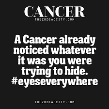 That is the reason why if that cancer that you like so much dares to tell you personal stuff that he doesn't share with anyone around him, he will trust you and value your discretion. 1000 Ideas About Cancer Facts On Pinterest Cancer Zodiac Signs Zodiac Memes