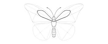 I know all you girls out there love butterflies so what better way to. How To Draw A Butterfly Step By Step