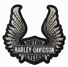 Image result for harley davidson wing