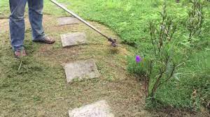 Rumput adalah tumbuhan yang bisa tumbuh liar di manapun. Cara Memotong Rumput Pakai Mesin Gendong Youtube