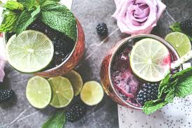 Blackberry Moscow Mule - Crystal Holliday with The Holliday ...
