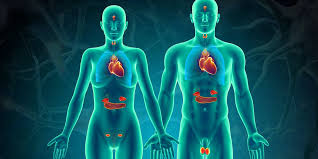 Endocrinology Meet 2025