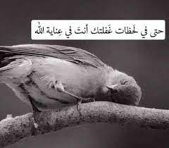 pin by yassmin hassan on مواعظ خواطر إسلامية cover photo quotes arabic love quotes photo quotes