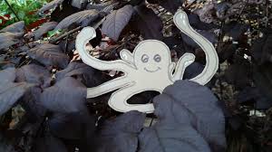 It was purportedly able to live both on land and in water, and was said to live. Diana Thormoto On Twitter Rare Sighting Of The Pacific Nw Tree Octopus Outside Of The Pacific Northwest Https T Co Agqelx1ykp 5daydraw