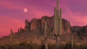 No moon at all is the very best, but don't let a quarter or half moon get in your way. Page 3 Cactus On Desert Hd Wallpapers Free Download Wallpaperbetter