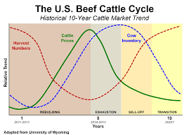 Margin And Opportunity Shifts With Supply Beefresearch