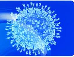 Botond in 13 mai 2015 22:54 categorie hepapita. Viremie Pentru Virusul Hepatic C Nedetectabila Dupa Doi Ani De Tratament Cu Viusid