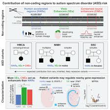 Image result for Light Spectrum Blue 1991 Shadow