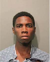 ᐅ Illinois Criminal Records 2009-2026