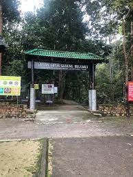Pejabat hutan daerah, johor selatan aras 9, bangunan sultan ibrahim, jalan bukit timbalan,. Gunung Belumut Picture Of Mount Belumut Kluang District Tripadvisor