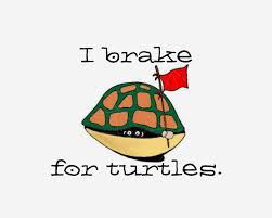 Download I Brake For Turtles Png Free Download Files For Cricut Silhouette Plus Resource For Print On Demand