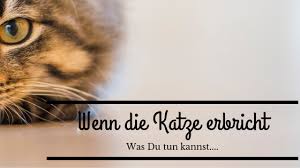 Natürlich sind einzelnen symptome kein klares indiz für einen darmverschluss, sondern können auch ganz andere ursachen haben. Katze Erbricht So Hilfst Du Deiner Katze