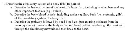 Nonvertebrate chordates jawless fishes cartilaginous fishes bony fishes amphibians reptiles birds. Solved 1 Describe The Circulatory System Of A Bony Fish Chegg Com