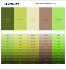 Check spelling or type a new query. 16 Latest Color Schemes With Beige And Light Green Color Tone Combinations 2021 Icolorpalette