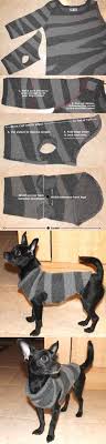 21 Diy Dog Clothes And Coats You Should Make Hunde Pullover Hunde Bekleidung Hundebekleidung