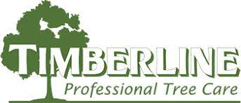 We also provide tree planting and fertilization. Support Systems Timberline Tree Care Service