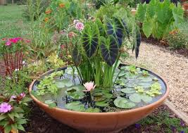 Petit Bassin Aquatique En Recipient A Faire Soi Meme 13 Idees Super Originales Jardin D Eau Amenagement Jardin Jardins