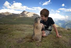 Marmot Boy Is Friends With Marmots Animals Furry Friend Animals Friends