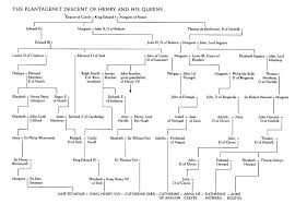 tudors family tree showing lines of descent for henry viii