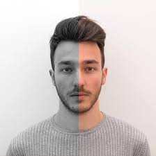 NeuralPDE: Automating physics-informed neural networks (PINNs) with error  approximations