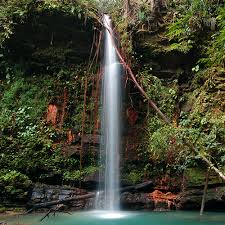 Gunung mulu, taman negara niah, taman negara bukit lambir kemajuan bukit fraser, 2009). Lambir Hills National Park Sarawak Forestry Corporation