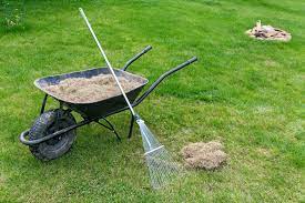A dethatching rake has sharp and wide blades. Dethatching Your Lawn Cardinal Lawns