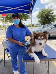 If this is your very first puppy, then you may feel a bit anxious that you've already failed before you've even picked up your new pup, but fear not. Mobile Vaccination Clinics Near You San Antonio Ft Worth And Abilene Tx