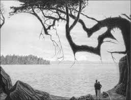 Image result for illusion pictures