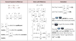 The Matrix And Solving Systems With Matrices She Loves Math