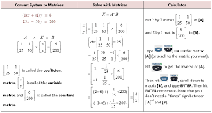 the matrix and solving systems with matrices she loves math