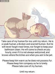 Them Feelings Pet Grief Cat Loss Pet Remembrance