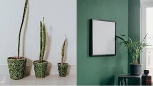 Penggunaan pot tanaman gantung akan membuat bunga dan tanaman hias anda terkesan lebih stylish. 6 Jenis Material Pot Bunga Dan Plus Minusnya Nggak Semuanya Cocok Jadi Wadah Aneka Tanaman