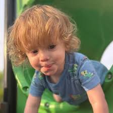 Who to contact for wild bird rescue in Vassalboro?