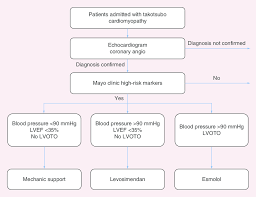 proposal of flow chart for the acute treatment of high risk