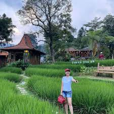 Download now rumah kayu di tengah sawah. Sawah Segar Sentul Rekomendasi Wisata Kuliner Mu Sentul City