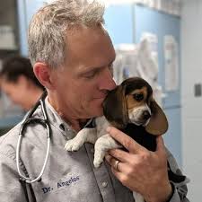 Dr. Ben Walker joined Mann Memorial Veterinary Clinic in 2007. He grew up  in Blue Hill, Maine. He earned his Undergraduate degree at UVM in  Burlington, Vermont and got his Veterinary degree