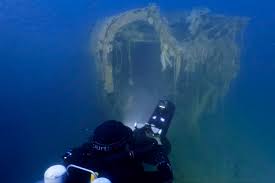 I Dive the Bermuda Triangle for Wrecks. We Made a Shocking Discovery -  Newsweek