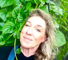 Malibar spinach. The hotter it gets, the better it grows!